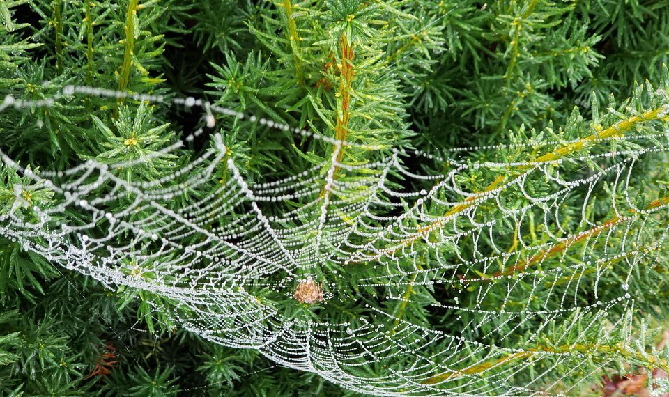 הטעויות הגדולות שצריך להימנע מהן בעת επιλογת שירות אירוח אתרים