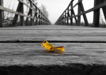 כיצד לשדרג את הביצועים של אתר שלך באירוח אתרים שיתופי