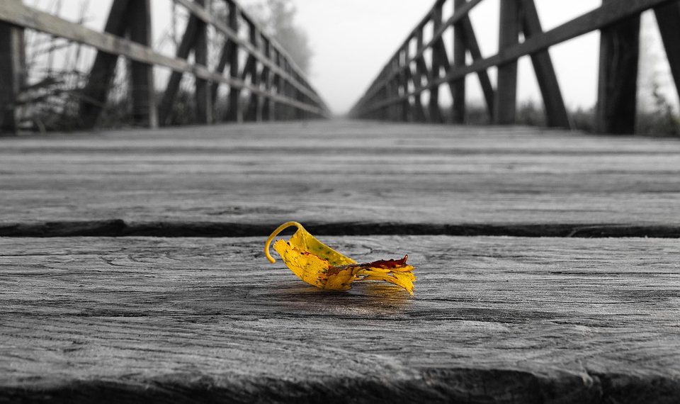 כיצד לשדרג את הביצועים של אתר שלך באירוח אתרים שיתופי