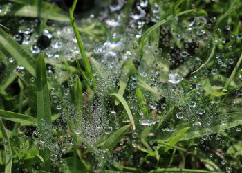 צלילה עמוקה לתוך תמיכת הלקוחות יוצאת הדופן של Kinsta: מה שאתה צריך לדעת