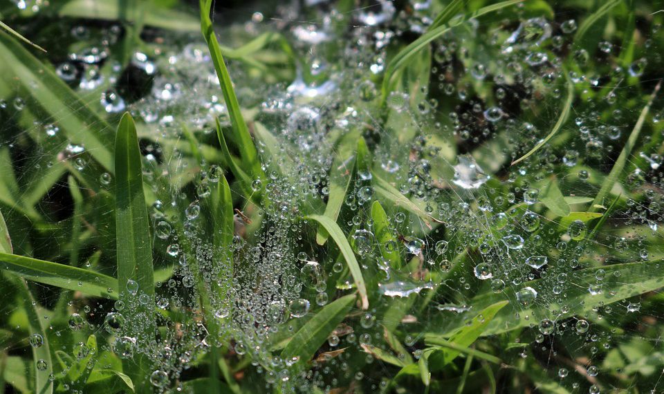 צלילה עמוקה לתוך תמיכת הלקוחות יוצאת הדופן של Kinsta: מה שאתה צריך לדעת