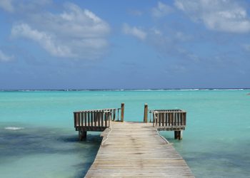 אבטחה, ביצועים ויכולת הרחבה: הבחירה בין שרת ייעודי לאירוח שיתופי