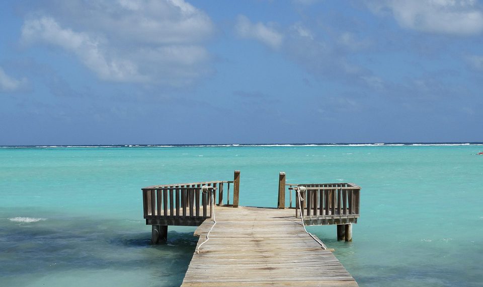 אבטחה, ביצועים ויכולת הרחבה: הבחירה בין שרת ייעודי לאירוח שיתופי