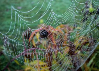 ספקי אירוח אתרים מומלצים: מה כדאי לדעת לפני שמבצעים בחירה?