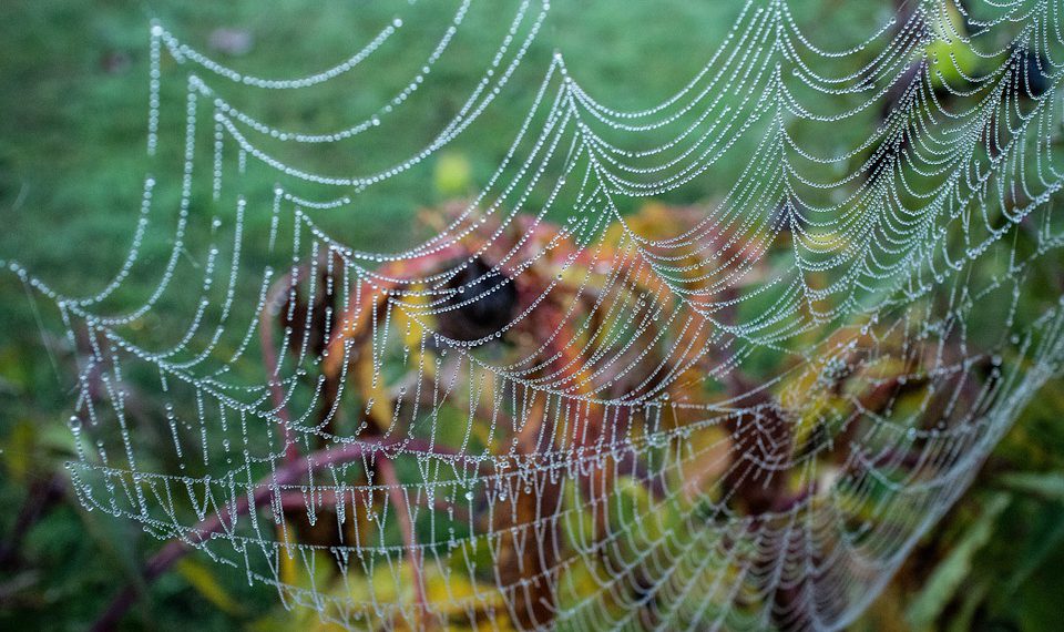 ספקי אירוח אתרים מומלצים: מה כדאי לדעת לפני שמבצעים בחירה?