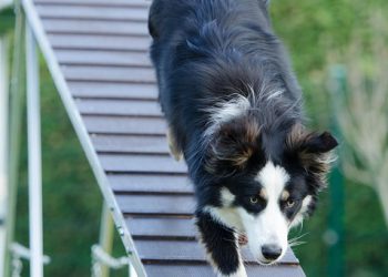 חבילות אירוח אתרים בישראל: מגמות וחידושים לשנת 2024