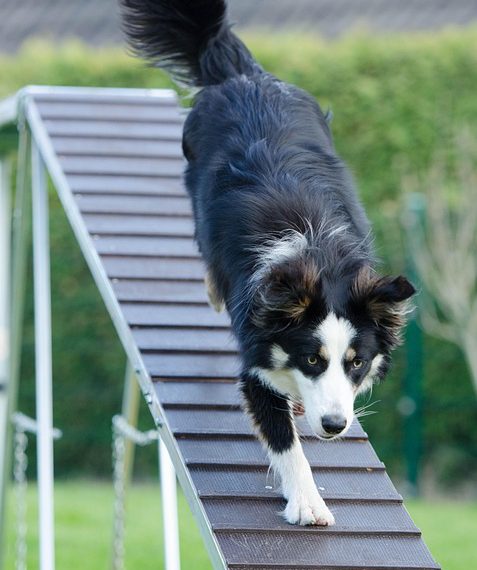 חבילות אירוח אתרים בישראל: מגמות וחידושים לשנת 2024
