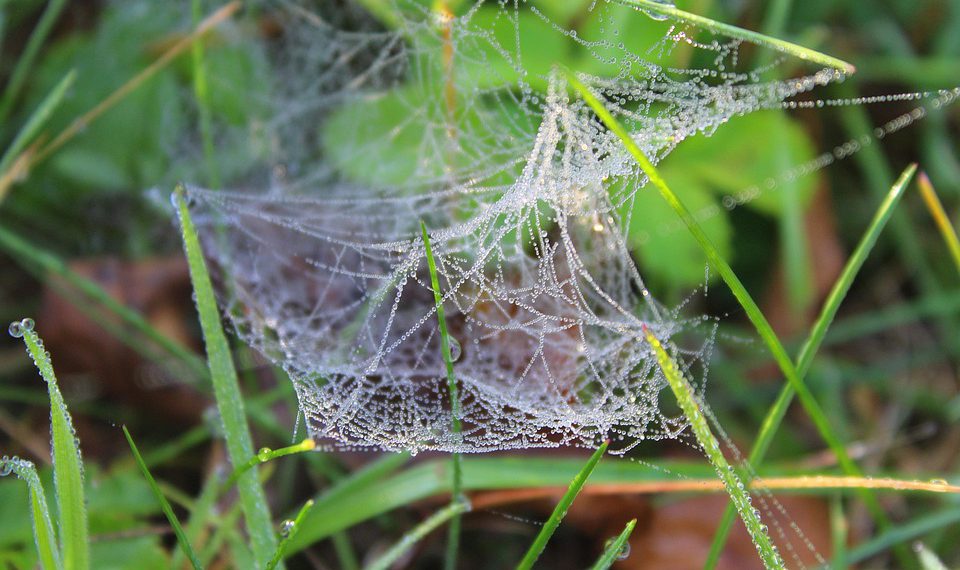 אחסון אתרים בעידן המודרני: למה SSL הוא לא מותרות, אלא חובה