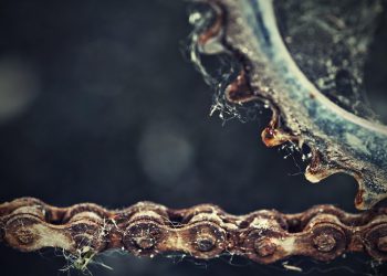 ההחלטה הגדולה: שרת ייעודי או אירוח שיתופי? מדריך למשתמש