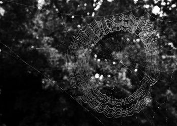 הבדלים בין סוגי אירוח אתרים: מה המתחילים צריכים לדעת?