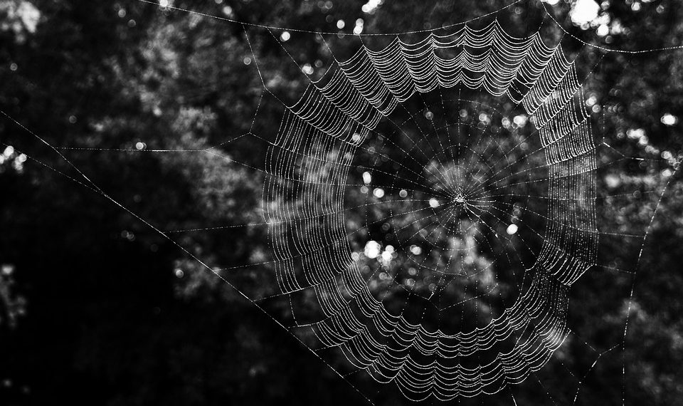 הבדלים בין סוגי אירוח אתרים: מה המתחילים צריכים לדעת?