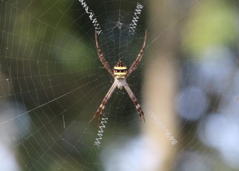 כיצד תמיכה טכנית 24/7 יכולה לחסוך לכם זמן וכסף בעולם הקידום הדיגיטלי?