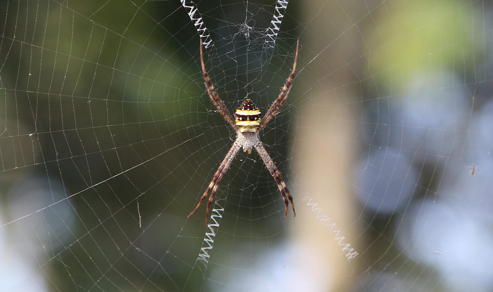 כיצד תמיכה טכנית 24/7 יכולה לחסוך לכם זמן וכסף בעולם הקידום הדיגיטלי?