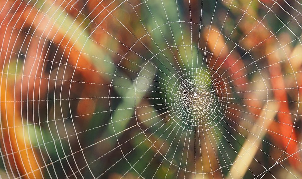 האם אפשר לקבל איכות באחסון אתרים במחיר זול?