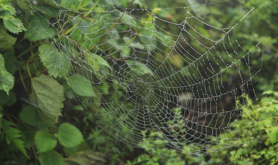 פוסטים מרשימים? השתמשו במדריך שלנו לבחירת אירוח אתרים!