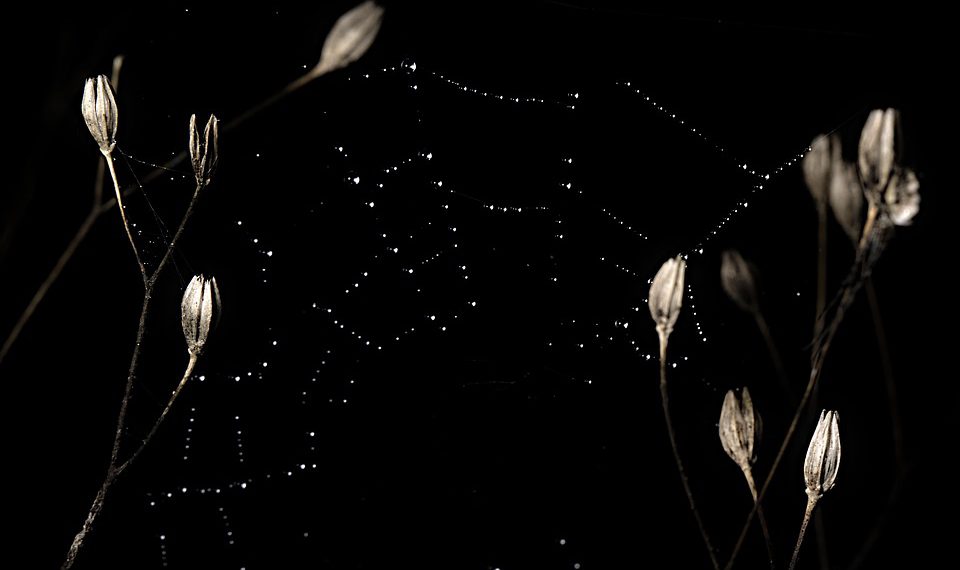 האם אירוח אתרים בינלאומי מתאים לך? גורמים מרכזיים שיש לקחת בחשבון