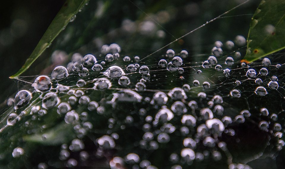 פתרון בעיות נפוצות ב-SiteGround: טיפים מהמומחים