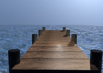 מרישום דומיין ל-SSL: חקר השירותים המקיפים של Hostinger