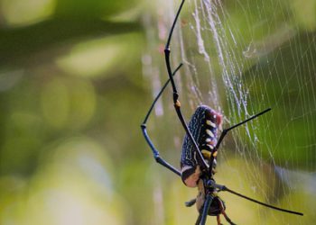 ובסוף הלילה: איך תמיכה טכנית מסביב לשעון שומרת על האתר שלכם פתוח, מהיר ורווחי ב-2026