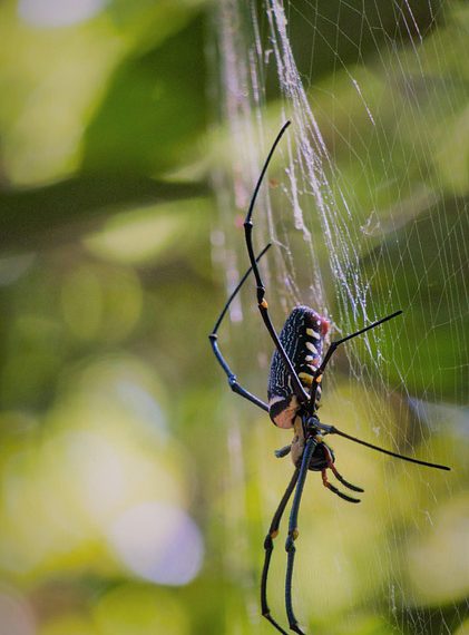 ובסוף הלילה: איך תמיכה טכנית מסביב לשעון יכולה לשמור על האתר שלכם פתוח