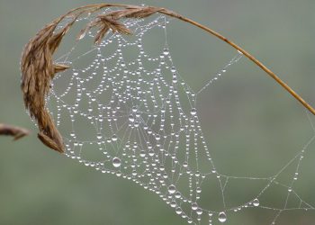 איך לבחור שירות אירוח אתרים מושלם ב-2026: המדריך המלא למהירות, אבטחה וסקייל
