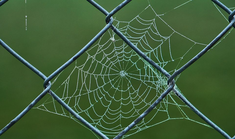 מחשבות על אבטחת אתרים: האם אחסון עם SSL ישפר את דירוג האתר שלך?