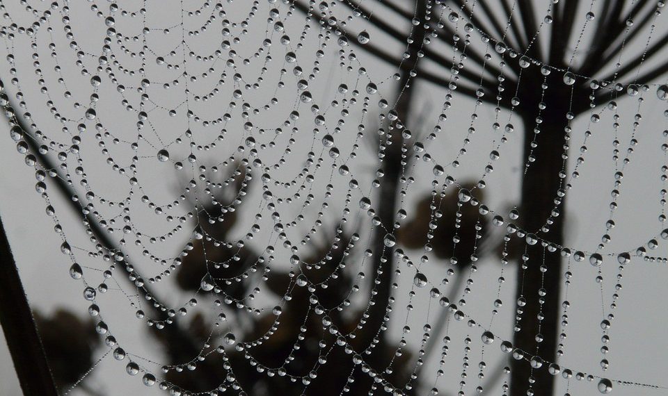 העתיד של אירוח אתרים לוורדפרס: מגמות וניבויים לשנים הקרובות