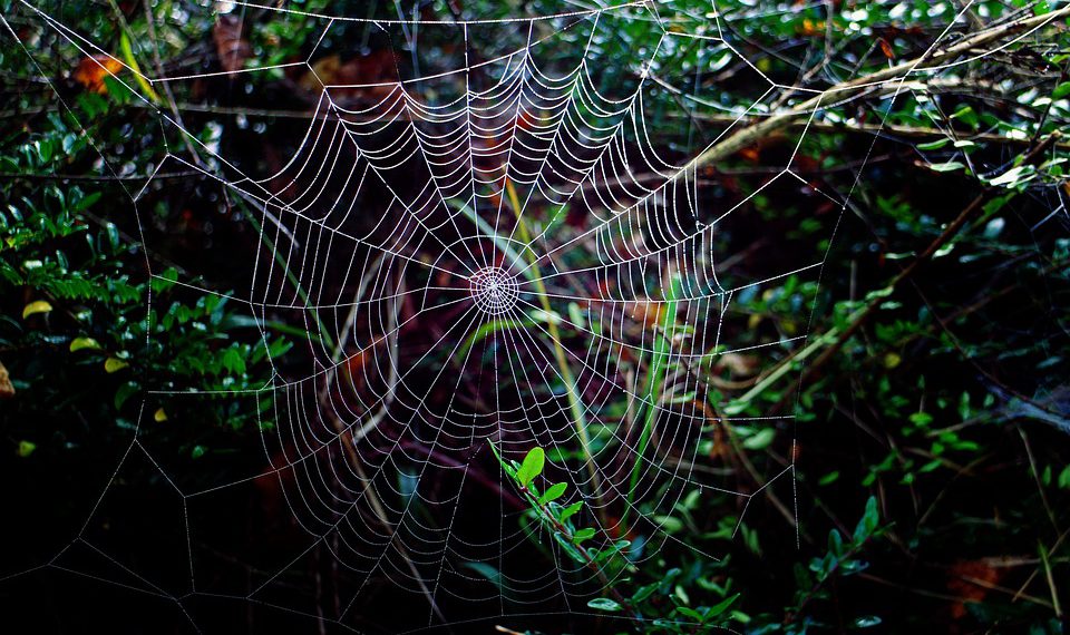 גלה את העתיד של אירוח אתרים בענן: מגמות שצפויות להשפיע על התעשייה