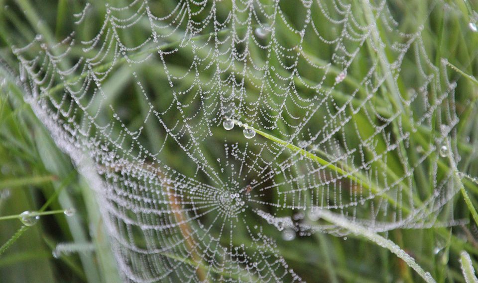 פתרונות ענן חסכוניים: פירוק התמחור והתוכניות של Cloudways