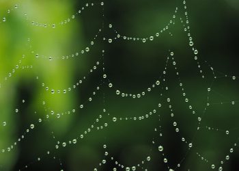 כיצד iPage יכול לתדלק את הצלחת המסחר האלקטרוני שלך: תכונות ויתרונות מוסברים