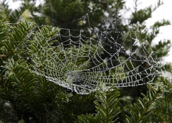 אל תהסס לשנות כל אחת מההצעות האלה כדי להתאים טוב יותר לקהל שלך או למיקוד ספציפי!