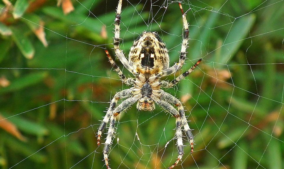 השוואת מחירים: חברות אחסון אתרים זולות מול המתחרים היקרים