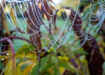 אירוח אתרים: מהמדריך למתחילים ועד המומחים – כך תעשו את הבחירה הנכונה