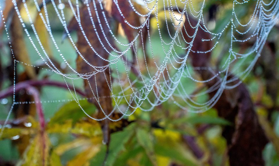 אירוח אתרים: מהמדריך למתחילים ועד המומחים – כך תעשו את הבחירה הנכונה