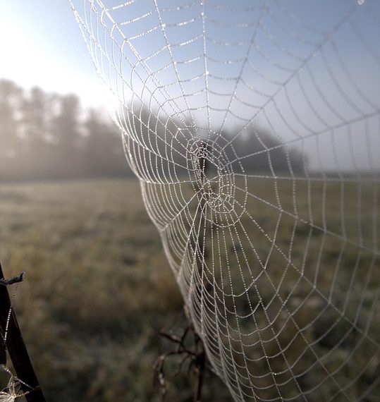 השוואת פלטפורמות אחסון אתרים לאתרי מסחר: מי מציע את הטוב ביותר?