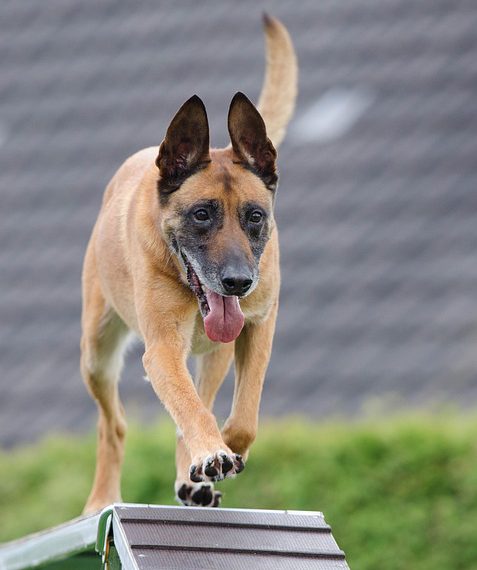 העתיד של אירוח אתרים: למה לצפות מ-InterServer בשנים הקרובות