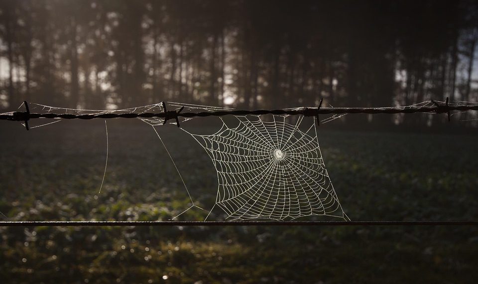 ההשפעה הסביבתית של אירוח: כיצד קינסטה הופכת ירוקה