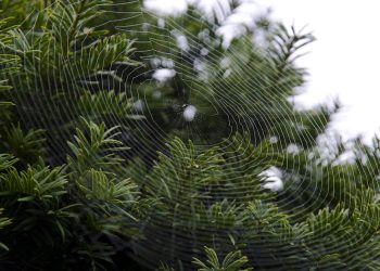 המדריך המקיף לאחסון אתרים ב-2026: איך לבחור את ההוסטינג הטוב ביותר