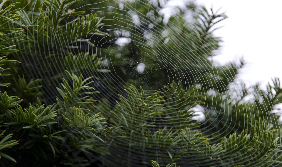 אל תהסס לשנות או לשלב את ההצעות האלה כדי להתאים טוב יותר את המיקוד של המאמר שלך!