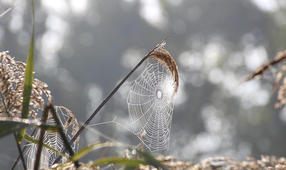 אם יש לך נושא ספציפי או כיוון מסוים שתרצה להתמקד בו, אשמח לעזור גם בזה!