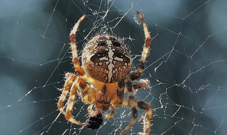 אתם מוזמנים להתאים את הניסוח כך שיתאים יותר לקהל היעד שלכם!