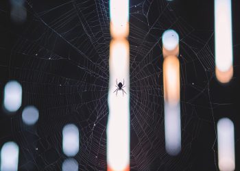 אירוח אתרים מאובטח: מה זה אומר ואיזה פתרונות קיימים בשוק?