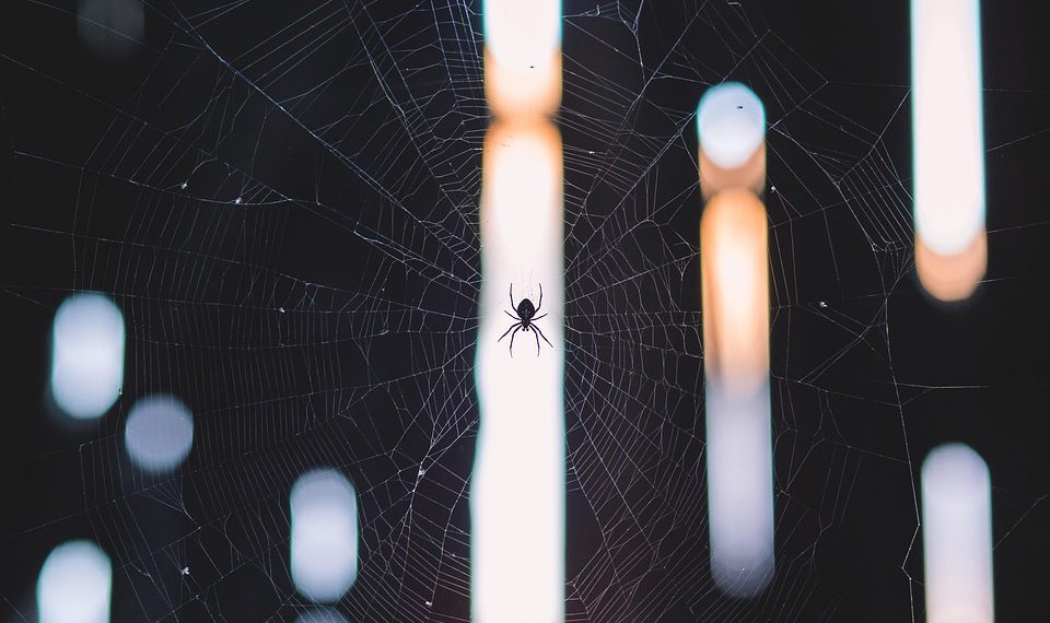 אירוח אתרים מאובטח: מה זה אומר ואיזה פתרונות קיימים בשוק?