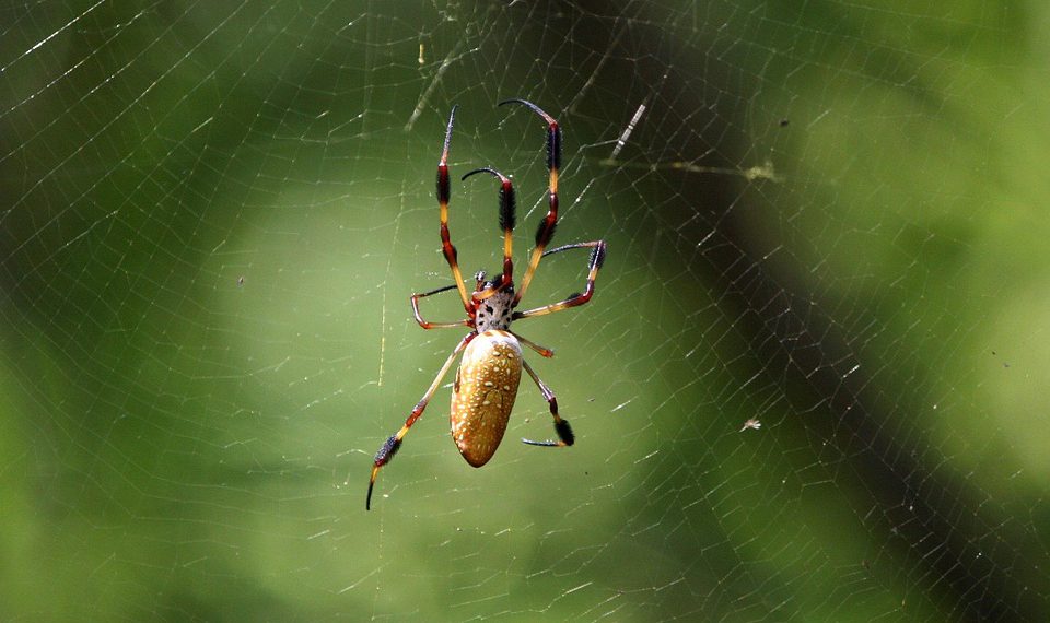 אל תהסס לשנות כל אחד מאלה כך שיתאים יותר לקול ולקהל של המאמר שלך!