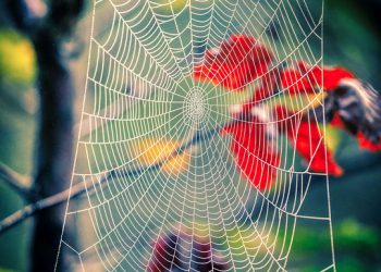 10 סיבות מדוע אירוח A2 הוא אידיאלי לעסקים קטנים