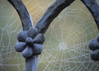 מדריך אחסון אתרים 2026: איך לבחור שרת מנצח (ולא ליפול בפח)