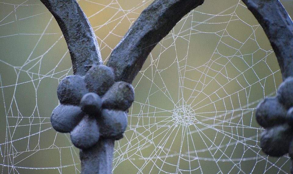 אל תהסס לשנות או להרחיב את ההצעות הללו בהתבסס על המיקוד והקהל הספציפיים של המאמר שלך!