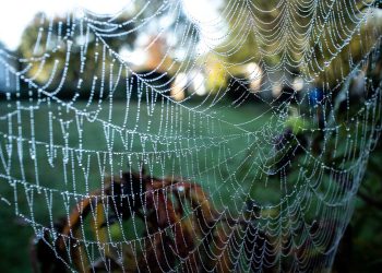 תוכניות iPage ב-2026: האם האחסון הזול הזה באמת משתלם לטווח ארוך?