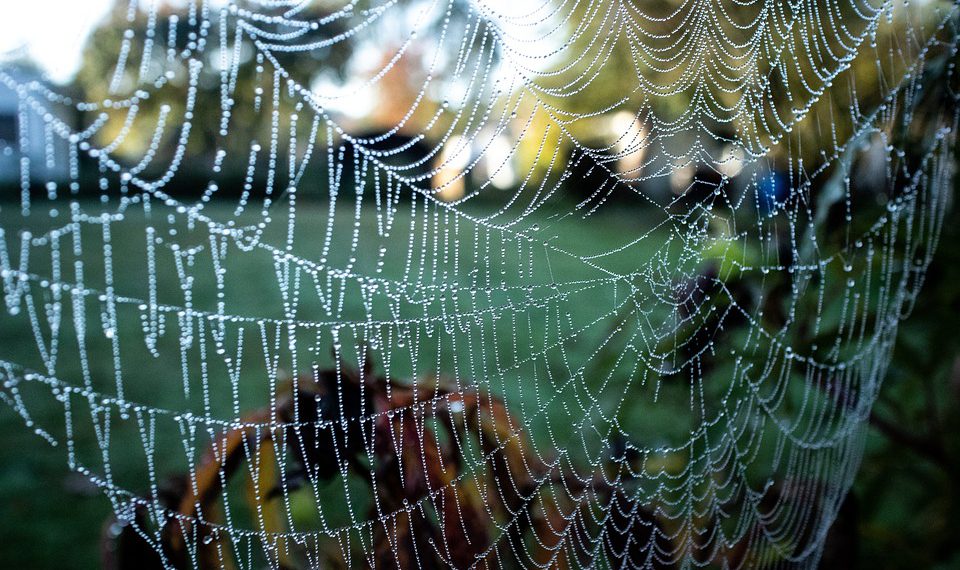 תוכניות iPage תחת המיקרוסקופ: מה אתה באמת מקבל עבור הכסף שלך?