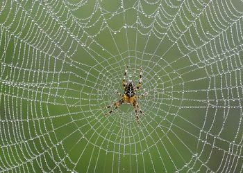 המדריך המלא לאחסון אתרים ב-2026: איך לבחור, השוואת מחירים ומגמות